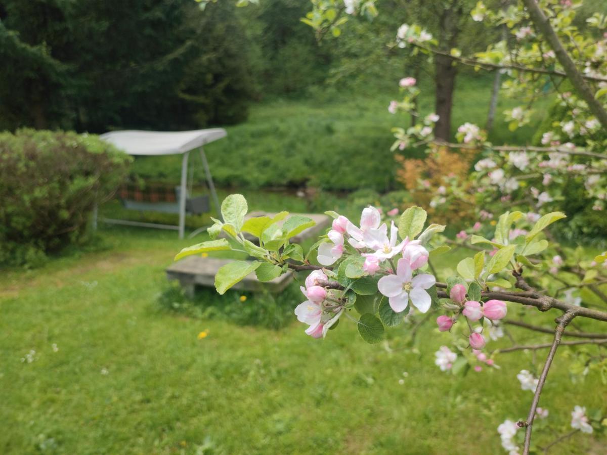 Lusatia Farm Leśna Eksteriør bilde