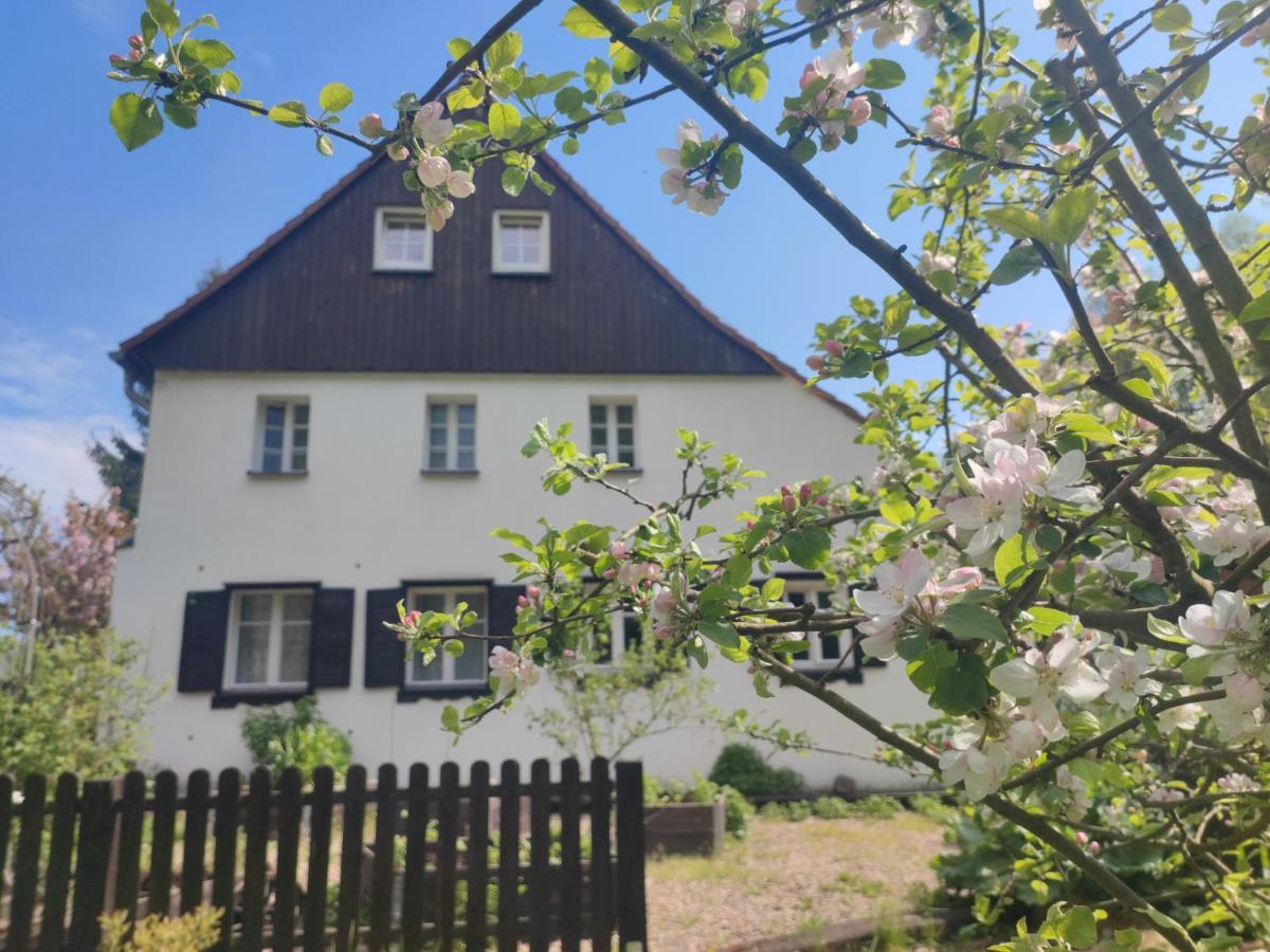 Lusatia Farm Leśna Eksteriør bilde