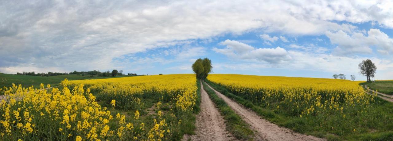 Lusatia Farm Leśna Eksteriør bilde