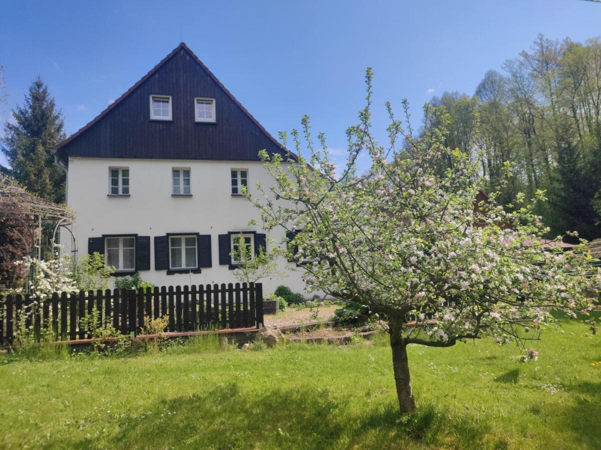 Lusatia Farm Leśna Eksteriør bilde