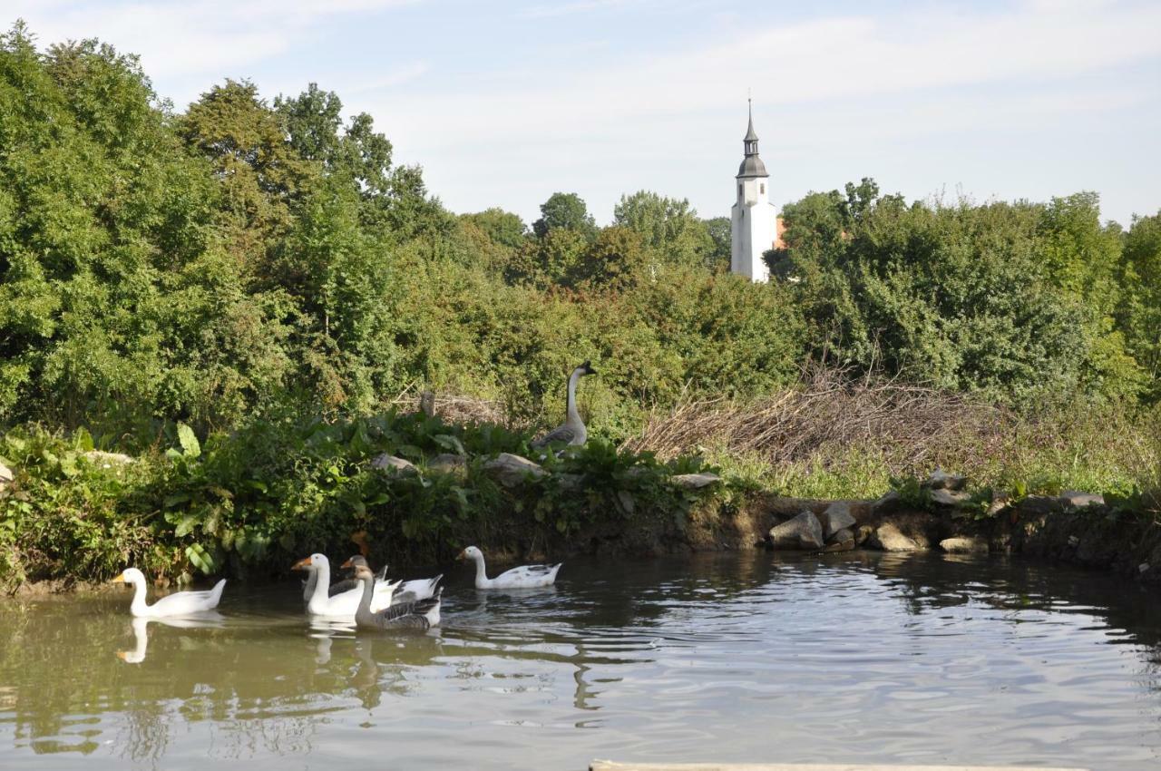Lusatia Farm Leśna Eksteriør bilde